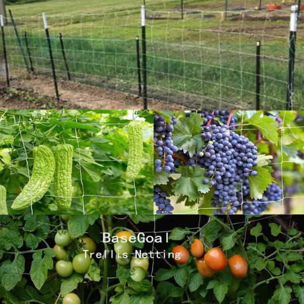 BaseGoal All-Weather Trellis Netting Mesh Plant Garden Vine Growing Flexible String Net (6" Mesh ployester, 5' Wx 15'L) - Image 5