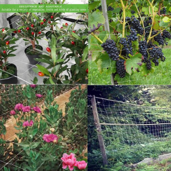 BaseGoal All-Weather Trellis Netting Mesh Plant Garden Vine Growing Flexible String Net (6" Mesh ployester, 5' Wx 15'L) - Image 7