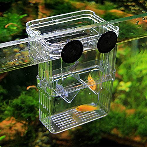 Fashionclus Aquarium Fish Breeder Rearing Trap Box for Hatchery 3.74x2.75x5.12inBrand: Fashionclubs